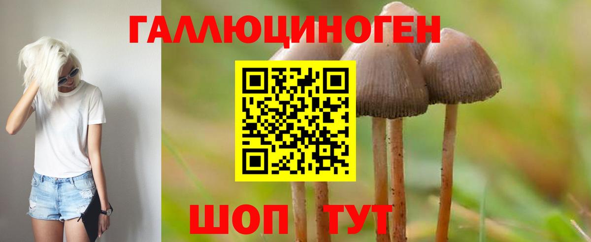 Галлюциногенные грибы MAGIC MUSHROOMS  даркнет сайт  Бийск  Вход с VPN 